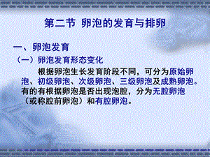 【教学课件】第二节卵泡的发育与排卵.ppt