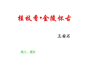 《桂枝香》精选ppt课件.ppt