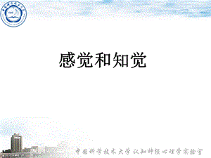 认知心理学 感觉和知觉.ppt