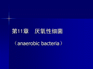 【教学课件】第11章厌氧性细菌.ppt