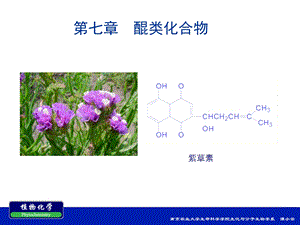 第七章醌类化合物 ppt课件.ppt