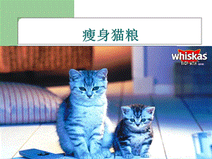 《组瘦身猫粮》PPT课件.ppt