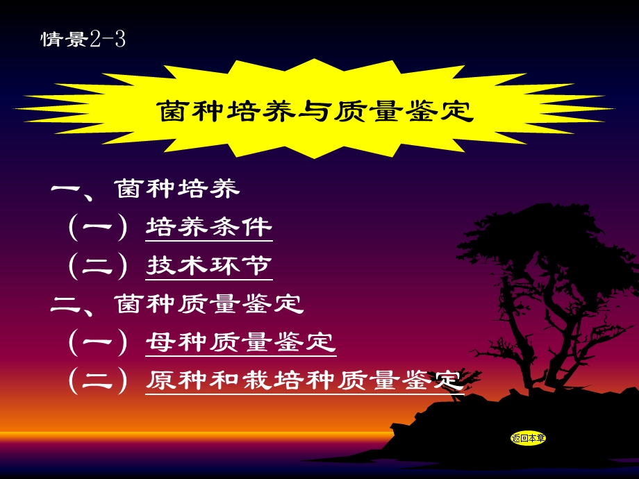 菌种培养与质量鉴定.ppt_第1页