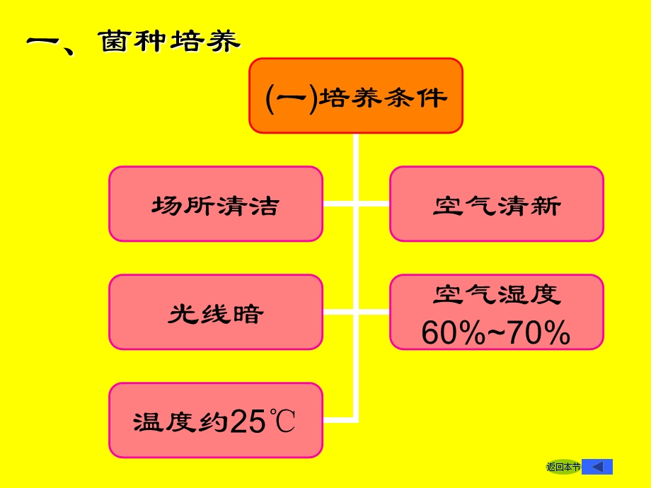 菌种培养与质量鉴定.ppt_第2页