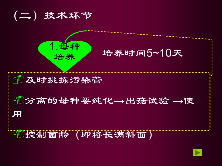 菌种培养与质量鉴定.ppt_第3页