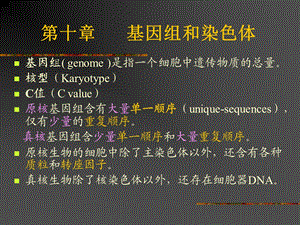 【教学课件】第十章基因组和染色体.ppt