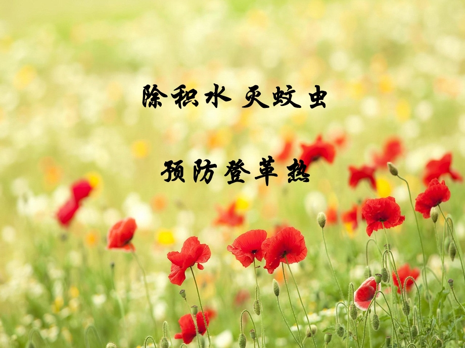 《除积水灭蚊虫》PPT课件.ppt_第1页