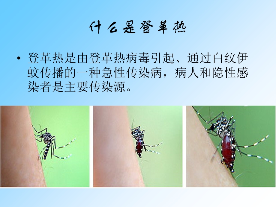 《除积水灭蚊虫》PPT课件.ppt_第2页