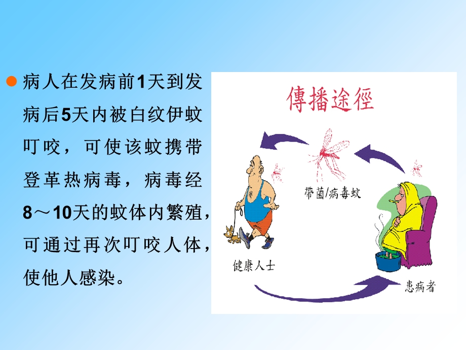 《除积水灭蚊虫》PPT课件.ppt_第3页