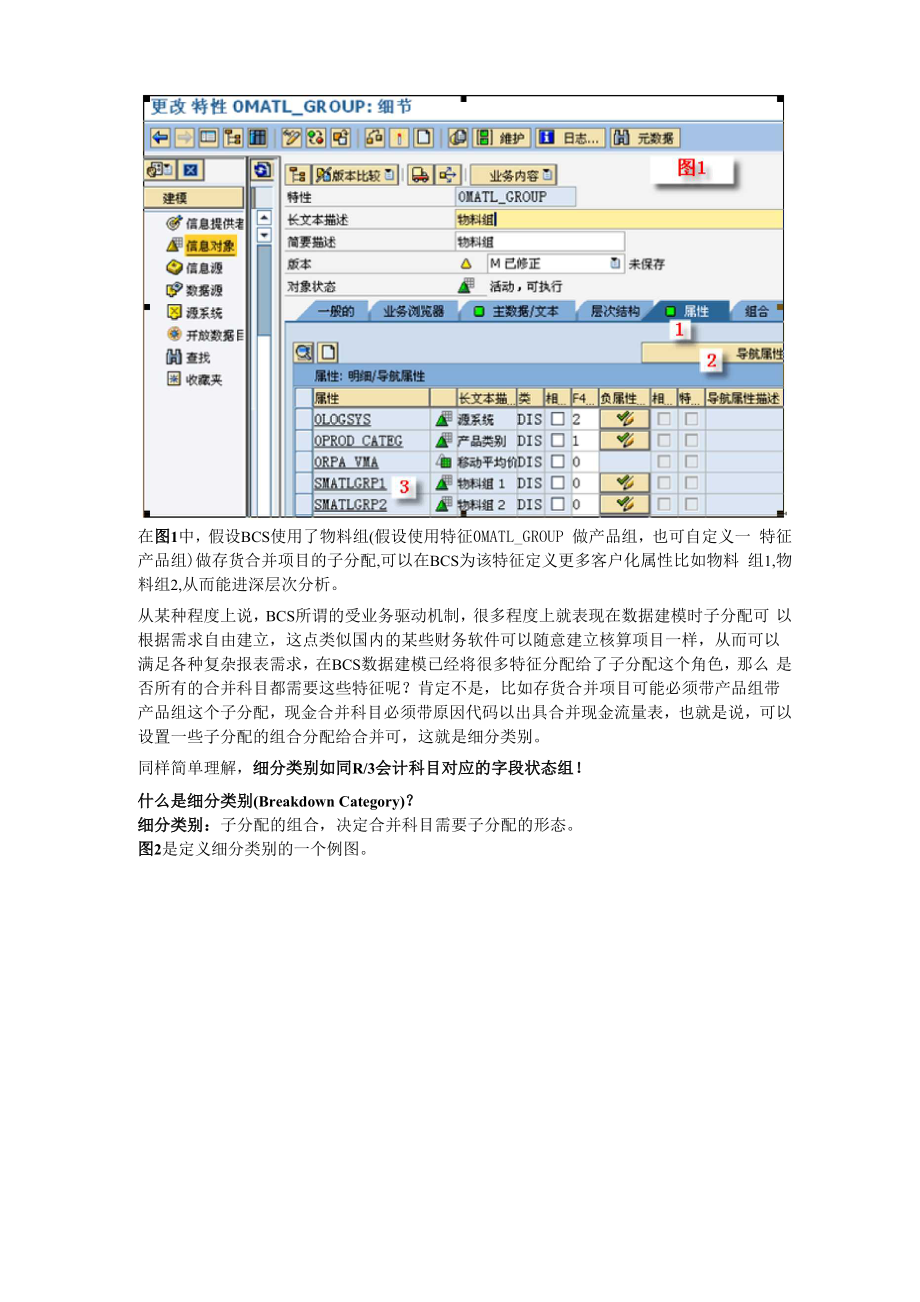 SAP子分配和细分类别.docx_第3页