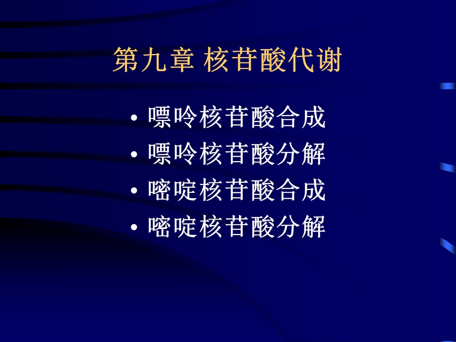 【教学课件】第九章核苷酸代谢.ppt_第1页