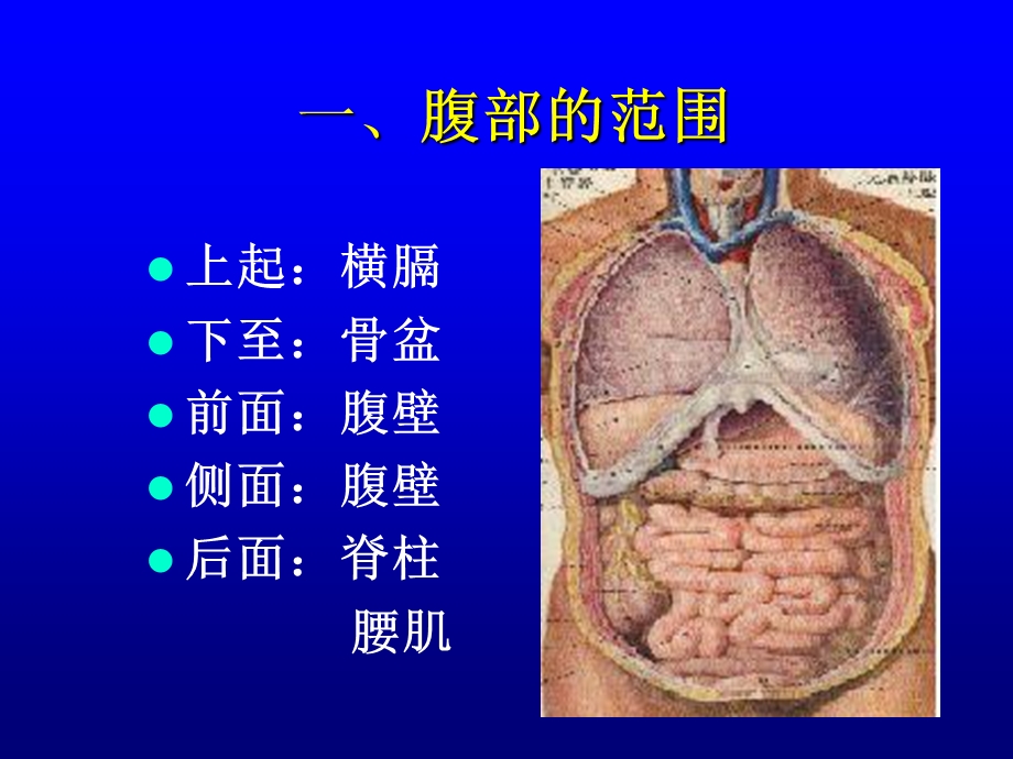 腹部检查abdominalexamination.ppt_第3页