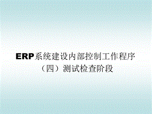 ARP系统内控工作程序测试检查阶段.ppt