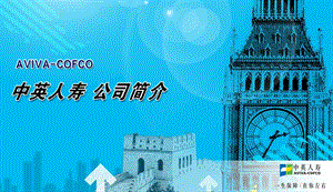 中英人寿公司简介.ppt