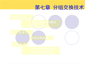 《分组交换技术》PPT课件.ppt