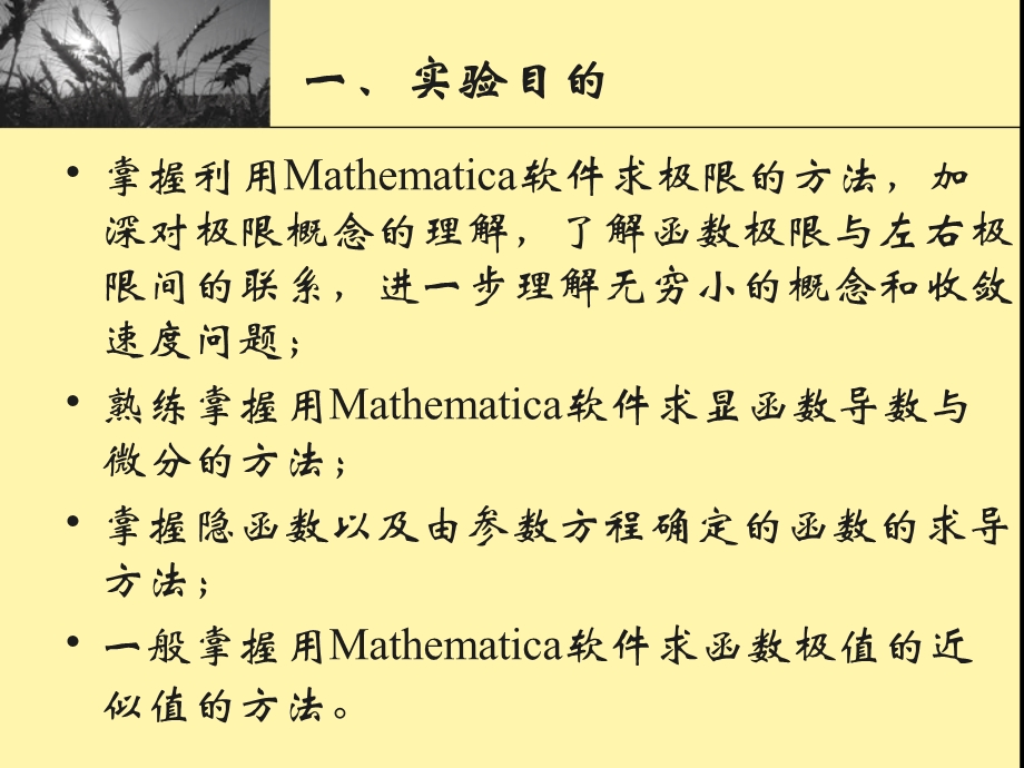 经济高数实验二.ppt_第3页