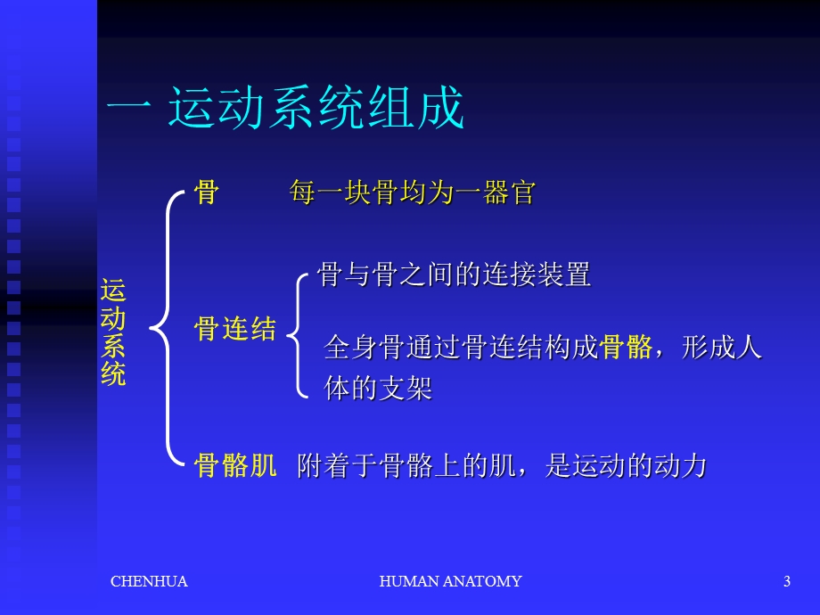 骨学ppt课件.ppt_第3页