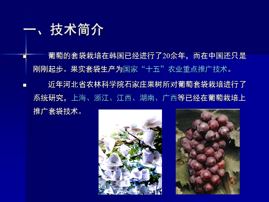 《葡萄套袋技术》PPT课件.ppt_第2页