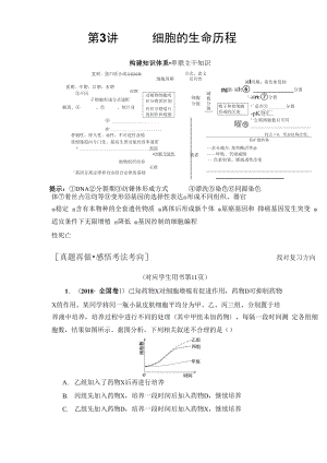 2019届二轮复习 专题1 第3讲 细胞的生命历程 学案.docx