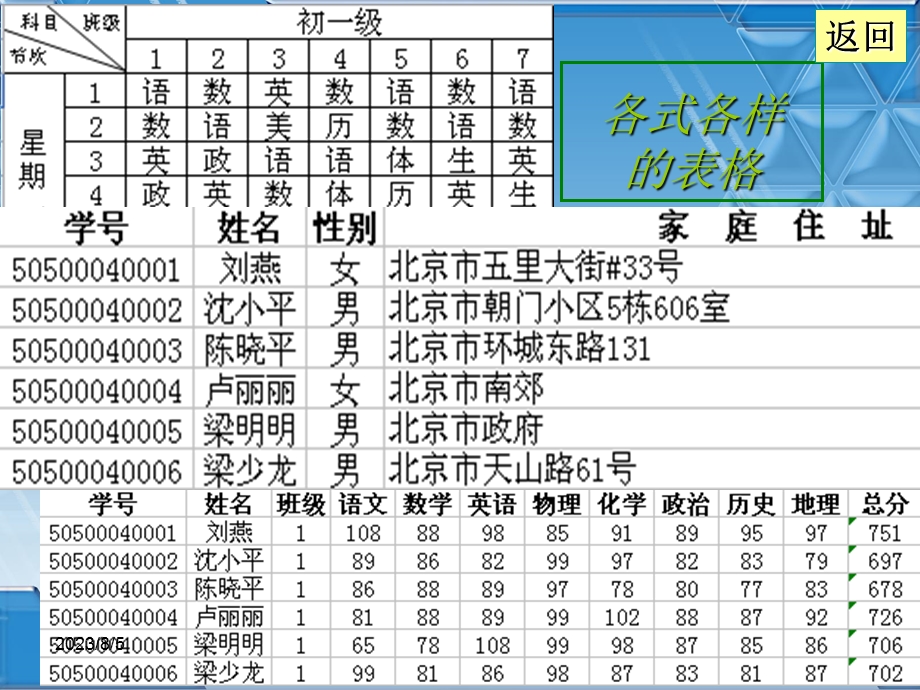 表格信息的加工和表达计算机基础.ppt_第2页