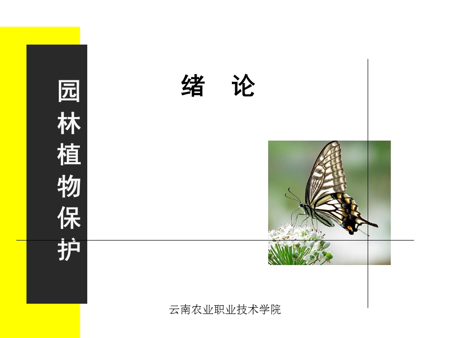 43187【工程建筑精品】园林植物病虫害防治在园林绿化中的重要性ppt最新.ppt_第1页