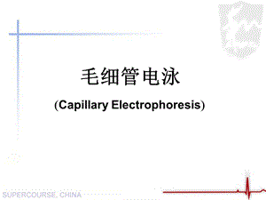 毛细管电泳.ppt