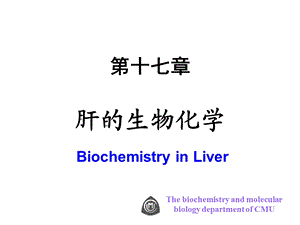 【教学课件】第十七章肝的生物化学.ppt