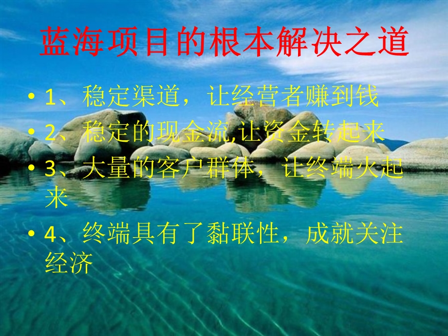 《蓝海项目经营思路》PPT课件.ppt_第2页