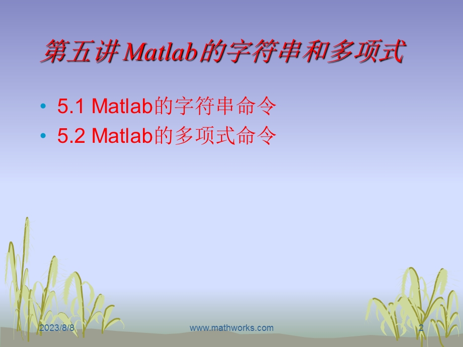 五讲Matlab的字符串和多项式ppt课件.ppt_第2页