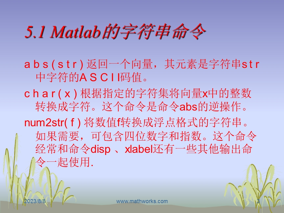 五讲Matlab的字符串和多项式ppt课件.ppt_第3页