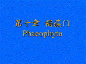 【教学课件】第十章褐藻门Phaeophyta.ppt