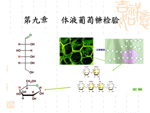 【教学课件】第九章体液葡萄糖检验.ppt