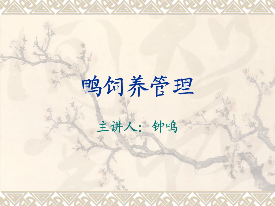 《鸭的饲养管理》PPT课件.ppt_第1页