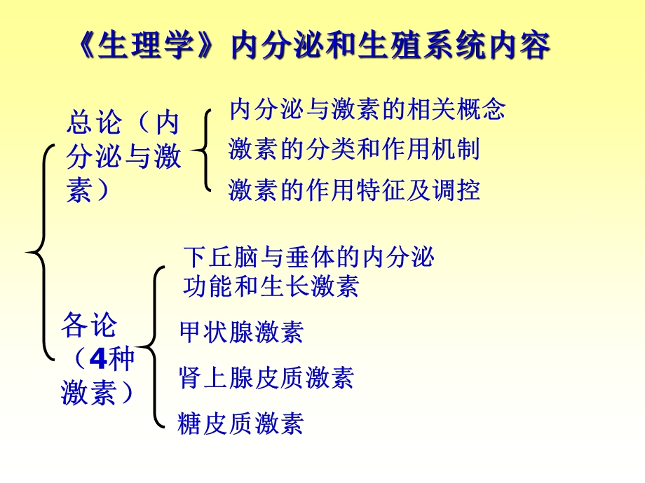 内分泌系统11.ppt_第2页