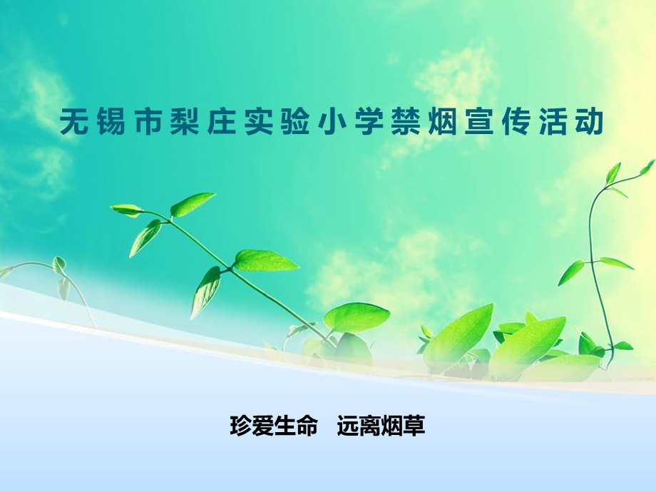 《禁烟宣传活动》PPT课件.ppt_第1页