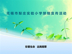 《禁烟宣传活动》PPT课件.ppt