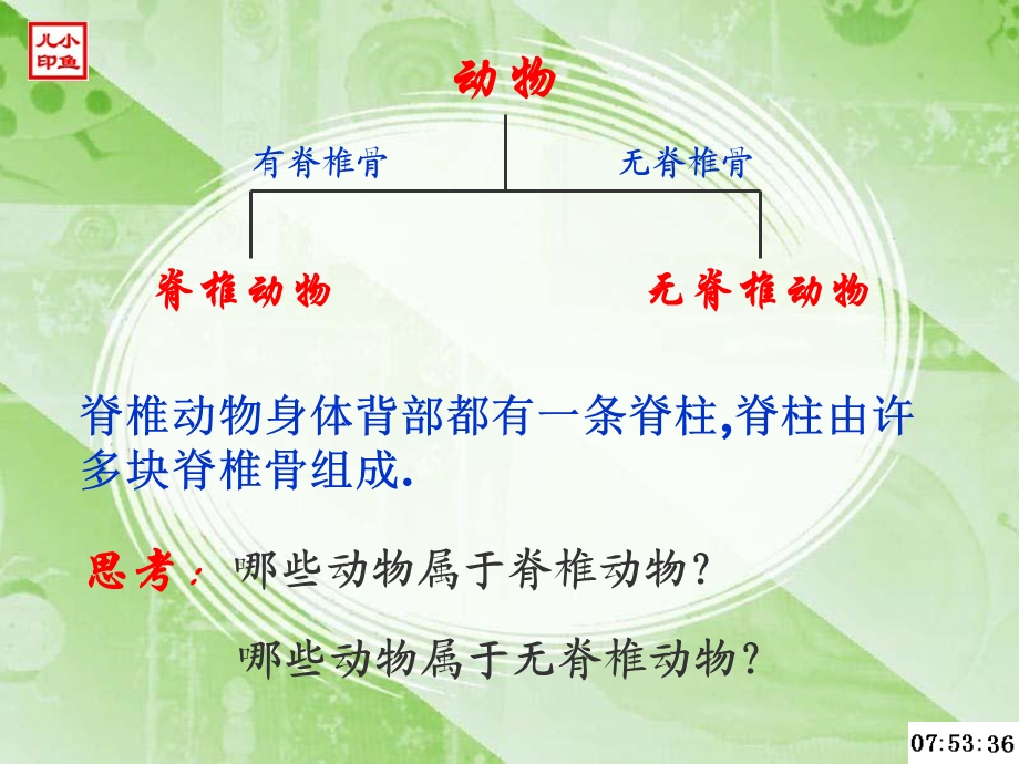 哺乳类无脊椎动物.ppt_第3页