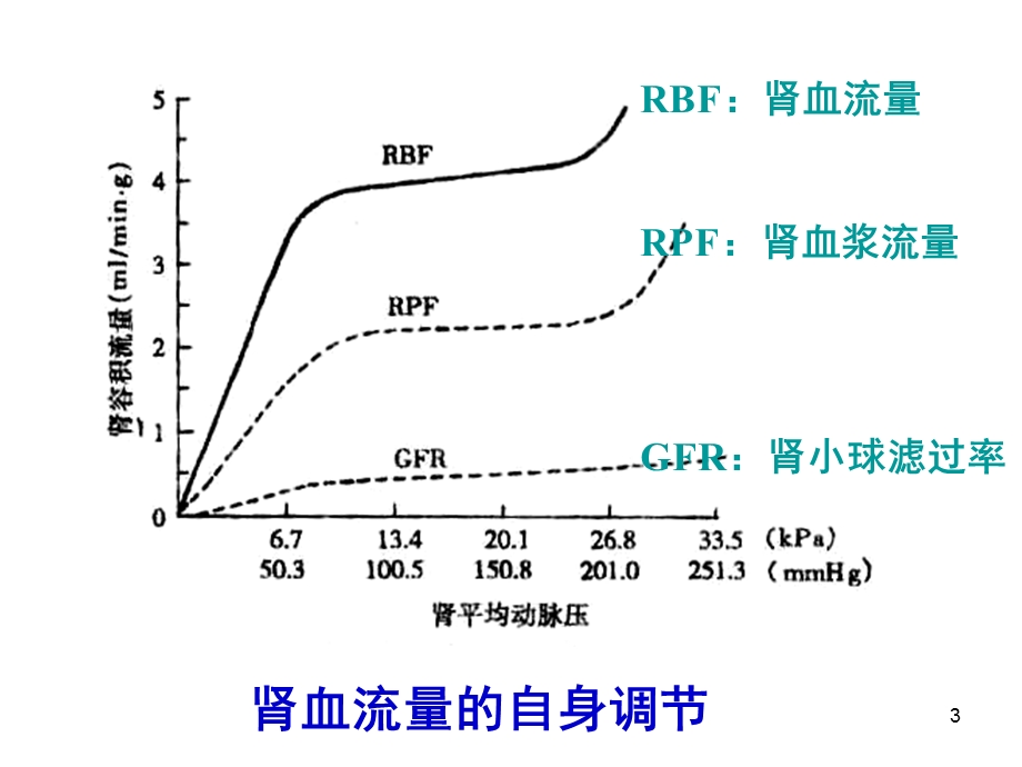 《药学本科泌尿》PPT课件.ppt_第3页