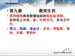 第九章 蕨类贯众狗脊 ppt课件.ppt