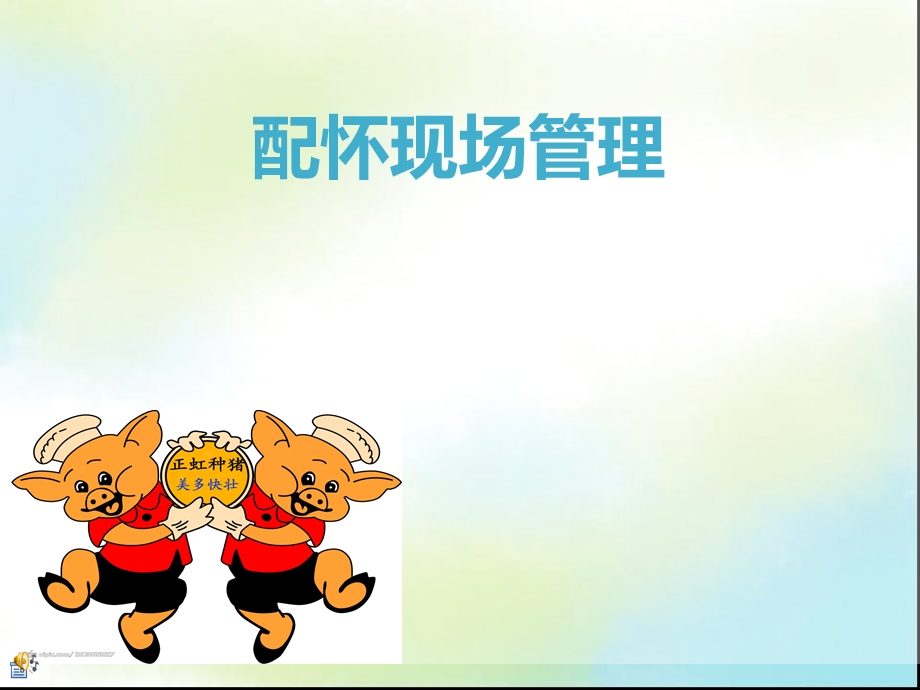 《配怀现场管理》PPT课件.ppt_第1页