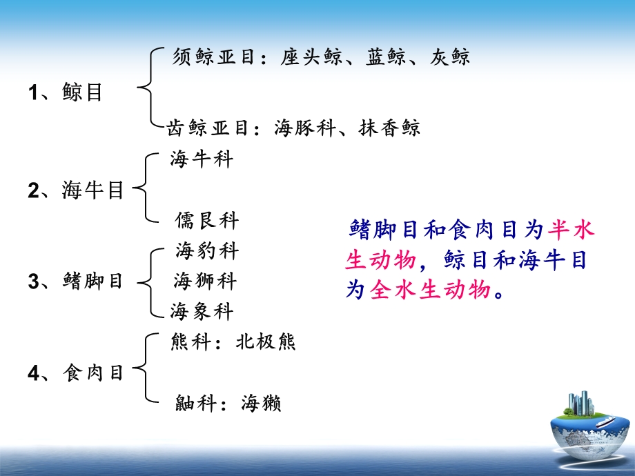 《海洋哺乳动物》PPT课件.ppt_第3页