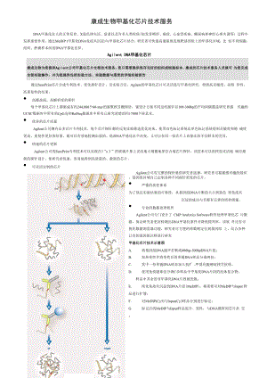 5 DNA甲基化芯片技术服务.docx