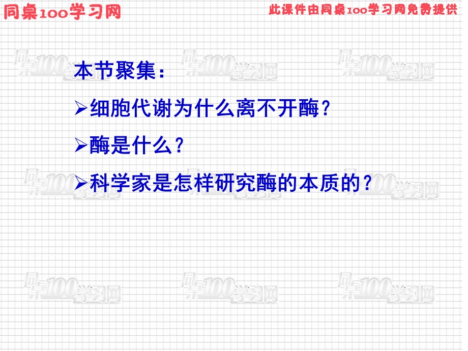 酶为生活添姿彩.ppt_第3页