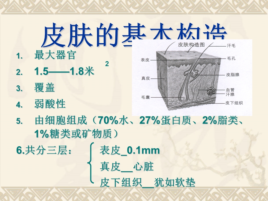 《秋冬皮肤护理》PPT课件.ppt_第2页