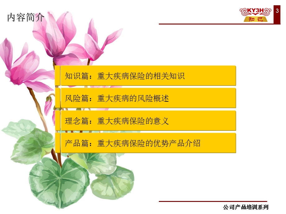 昆仑祥宁定期重大疾病保险.ppt_第3页