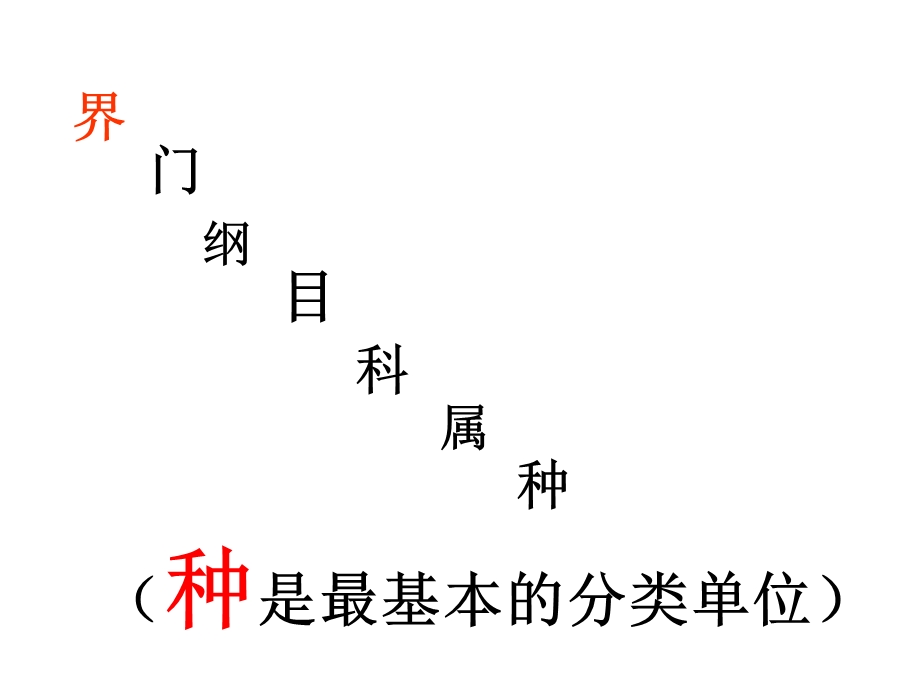 第二节.从种到界123.ppt_第3页