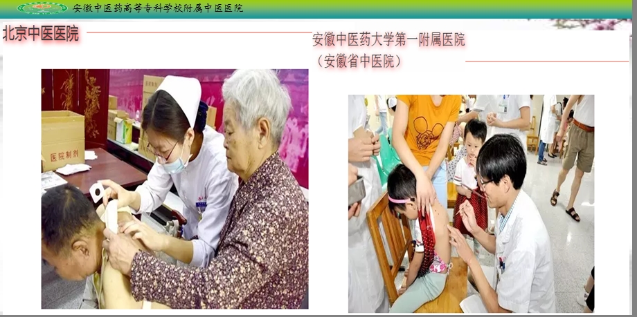 《零起点学中医》PPT课件.ppt_第3页