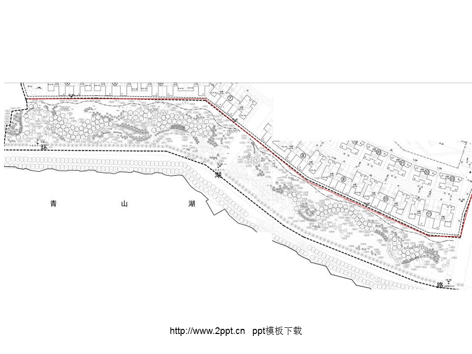 《米绿化带介绍》PPT课件.ppt_第1页