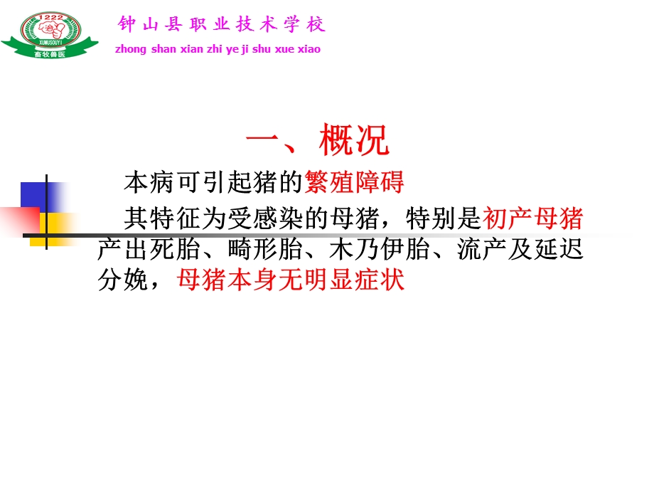 《细小病毒》PPT课件.ppt_第2页