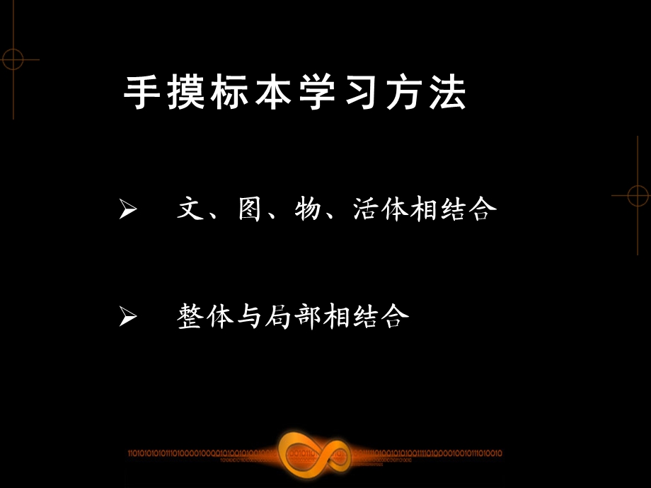 躯干骨及连接.ppt_第2页